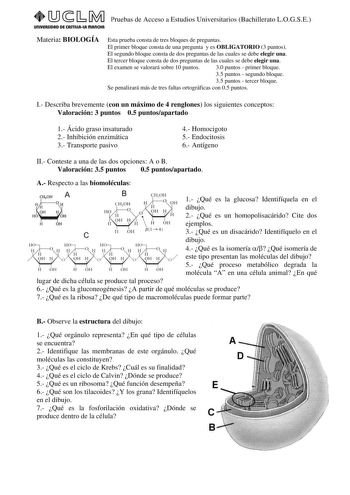 Pruebas de Acceso a Estudios Universitarios Bachillerato LOGSE UnlVERSIDAD DE CASTlllAlA mAnCHA Materia BIOLOGÍA Esta prueba consta de tres bloques de preguntas El primer bloque consta de una pregunta y es OBLIGATORIO 3 puntos El segundo bloque consta de dos preguntas de las cuales se debe elegir una El tercer bloque consta de dos preguntas de las cuales se debe elegir una El examen se valorará sobre 10 puntos 30 puntos  primer bloque 35 puntos  segundo bloque 35 puntos  tercer bloque Se penali…