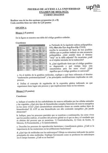 PRUEBAS DE ACCESO A LA UNIVERSIDAD EXAMEN DE BIOLOGÍA CURSO 20142015 upQ rh Uiniu Pcbi1h Realizar una de las dos opciones propuestas A o B Cada cuestión tiene un valor de 125 puntos OPCIÓN A Bloque 1 5 puntos En la figura se muestra una tabla del código genético estándar ltlit11iíiiFilllltliil Cuestiones a Partiendo de la siguiente cadena polipeptídica NH2MetAlaTyrArgProGlyCOOH escriba la secuencias de bases de tres posibles ltlilf1rlIii  ARNm que se podrían traducir en esta secuencia I polipep…