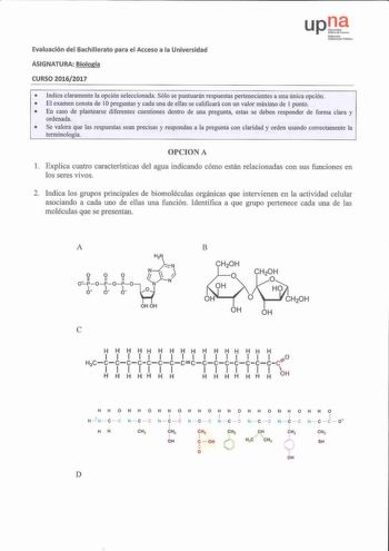 Evaluación del Bachillerato para el Acceso a la Universidad ASIGNATURA Biología CURSO 20162017 upJf N1f1 rtOUv Uaibt1lto1 lublfku  Indica clararnente la opción seleccionada Sólo se puntuarán respuestas pertenecientes a una única opción  El examen consta de 10 preguntas y cada una de ellas se caliñcará con un valor máximo de l punto  En caso de plantearse diferentes cuestiones dentro de una pregunta estas se deben responder de forma clara y ordenada  Se valora que las respuestas sean precisas y …