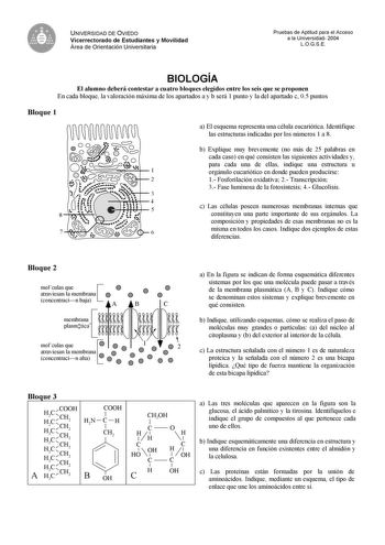 UNIVERSIDAD DE OVIEDO Vicerrectorado de Estudiantes y Movilidad Área de Orientación Universitaria Pruebas de Aptitud para el Acceso a la Universidad 2004 LOGSE BIOLOGÍA El alumno deberá contestar a cuatro bloques elegidos entre los seis que se proponen En cada bloque la valoración máxima de los apartados a y b será 1 punto y la del apartado c 05 puntos Bloque 1 a El esquema representa una célula eucariótica Identifique las estructuras indicadas por los números 1 a 8 b Explique muy brevemente no…