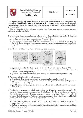 Evaluación de Bachillerato para el Acceso a la Universidad Castilla y León BIOLOGÍA EXAMEN N páginas 2 El alumno deberá elegir un máximo de 5 preguntas de las diez ofertadas en el anverso y reverso de esta hoja La calificación total de la prueba será de 10 puntos La calificación máxima de cada pregunta es de 2 puntos En las preguntas la puntuación de cada uno de los subapartados se indica entre paréntesis Sólo se corregirán las cinco primeras preguntas desarrolladas en el examen y que no aparez…