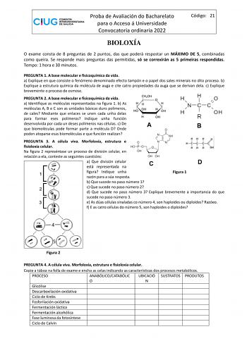 Proba de Avaliación do Bacharelato para o Acceso á Universidade Convocatoria ordinaria 2022 Código 21 BIOLOXÍA O exame consta de 8 preguntas de 2 puntos das que poderá respostar un MÁXIMO DE 5 combinadas como queira Se responde mais preguntas das permitidas só se correxirán as 5 primeiras respondidas Tempo 1 hora e 30 minutos PREGUNTA 1 A base molecular e fisicoquímica da vida a Explique en que consiste o fenómeno denominado efecto tampón e o papel dos sales minerais no dito proceso b Explique …