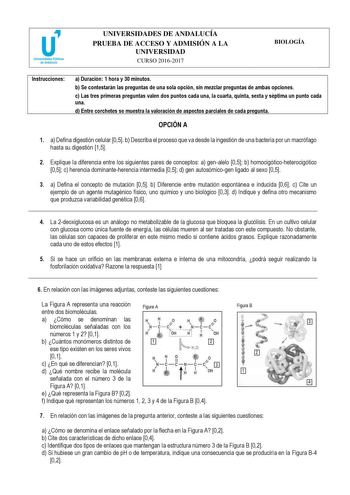 UNIVERSIDADES DE ANDALUCÍA PRUEBA DE ACCESO Y ADMISIÓN A LA UNIVERSIDAD CURSO 20162017 BIOLOGÍA Instrucciones a Duración 1 hora y 30 minutos b Se contestarán las preguntas de una sola opción sin mezclar preguntas de ambas opciones c Las tres primeras preguntas valen dos puntos cada una la cuarta quinta sexta y séptima un punto cada una d Entre corchetes se muestra la valoración de aspectos parciales de cada pregunta OPCIÓN A 1 a Defina digestión celular 05 b Describa el proceso que va desde la …