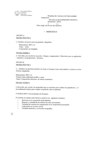 Examen de Técnicas de Expresión Gráfico Plástica (selectividad de 2006)