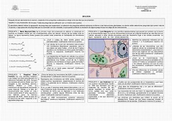 Prueba de evaluación de Bachillerato para el acceso a la Universidad EBAU CURSO 202122 BIOLOGÍA Después de leer atentamente el examen responda cinco preguntas cualesquiera a elegir entre las diez que se proponen TIEMPO Y CALIFICACIÓN 90 minutos Todas las preguntas se calificarán con un máximo de 2 puntos El estudiante deberá indicar la agrupación de preguntas que responderá La selección de preguntas deberá realizarse conforme a las instrucciones planteadas no siendo válido seleccionar preguntas…