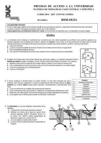 Distrito  r   canarias PRUEBAS DE ACCESO A LA UNIVERSIDAD MATERIAS DE MODALIDAD FASES GENERAL Y ESPECÍFICA CURSO 2014  2015 CONVOCATORIA MATERIA BIOLOGIA ACLARACIONES PREVIAS El alumno debe elegir una de las dos opciones A o B de las que presenta el ejercicio y especificarla claramente al principio del examen La opción consta de 10 preguntas que podrán contener dos o más cuestiones Cada pregunta tiene una calificación máxima de 1 punto No se valorarán las respuestas que no correspondan a la opc…