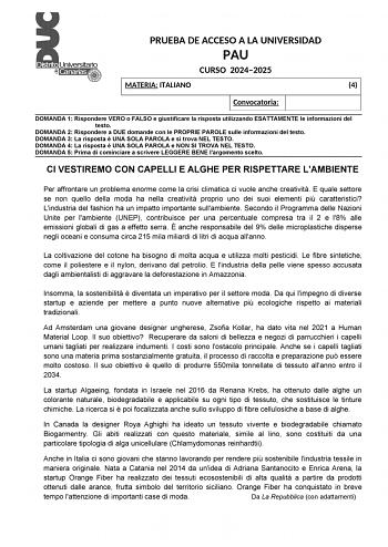 Examen de Italiano (EBAU de 2025)