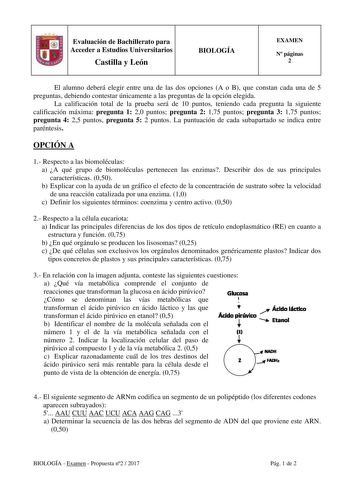 Evaluación de Bachillerato para Acceder a Estudios Universitarios Castilla y León BIOLOGÍA EXAMEN N páginas 2 El alumno deberá elegir entre una de las dos opciones A o B que constan cada una de 5 preguntas debiendo contestar únicamente a las preguntas de la opción elegida La calificación total de la prueba será de 10 puntos teniendo cada pregunta la siguiente calificación máxima pregunta 1 20 puntos pregunta 2 175 puntos pregunta 3 175 puntos pregunta 4 25 puntos pregunta 5 2 puntos La puntuaci…