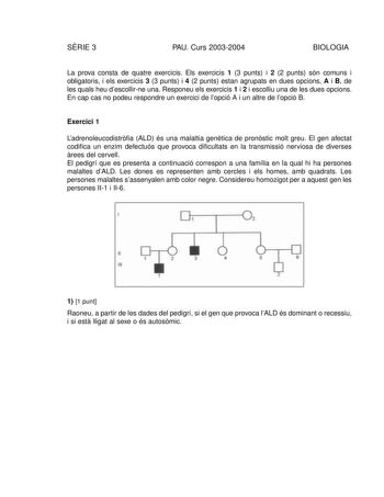 SRIE 3 PAU Curs 20032004 BIOLOGIA La prova consta de quatre exercicis Els exercicis 1 3 punts i 2 2 punts són comuns i obligatoris i els exercicis 3 3 punts i 4 2 punts estan agrupats en dues opcions A i B de les quals heu descollirne una Responeu els exercicis 1 i 2 i escolliu una de les dues opcions En cap cas no podeu respondre un exercici de lopció A i un altre de lopció B Exercici 1 Ladrenoleucodistrfia ALD és una malaltia gentica de pronstic molt greu El gen afectat codifica un enzim defe…