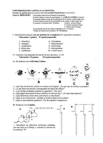 Examen de Biología (selectividad de 2003)