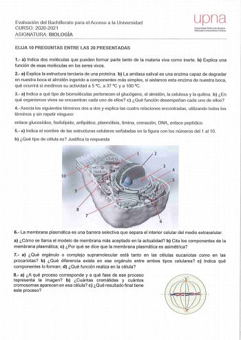 Eva lu ac ión del Bachillerato pa ra el Acceso a la Universidad CURSO 20202021 ASIGNATURA BIOLOGÍA upna UrúvorskJad Pública de Navarra Nafarroulo Unbelsitate Publkoo ELIJA 10 PREGUNTAS ENTRE LAS 20 PRESENTADAS 1 a Indica dos moléculas que pueden formar parte tanto de la materia viva como inerte b Explica una función de esas moléculas en los seres vivos  2 a Explica la estructura terciaria de una proteína b La amilasa salival es una enzima capaz de degradar en nuestra boca el almidón ing erido a…