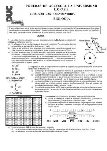 PRUEBAS DE ACCESO A LA UNIVERSIDAD LOGSE CURSO 2001  2002  CONVOCATORIA BIOLOGÍA El alumno deberá elegir una de las dos opciones Cada pregunta puntúa según lo que se especifica al final de cada apartado Como criterio general se valorará la capacidad de interrelación y síntesis la utilización adecuada de la terminología así como la expresión y ortografía En cada opción se deberá contestar solamente uno de los dos apartados marcados como cI y cII OPCIÓN A 1 Las células llevan a cabo varias funcio…