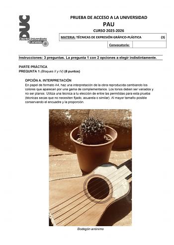Técnicas de Expresión Gráfico Plástica – EBAU Islas Canarias (2026)