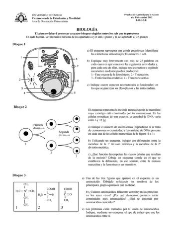 UNIVERSIDAD DE OVIEDO Vicerrectorado de Estudiantes y Movilidad Área de Orientación Universitaria Pruebas de Aptitud para el Acceso a la Universidad 2002 LOGSE BIOLOGÍA El alumno deberá contestar a cuatro bloques elegidos entre los seis que se proponen En cada bloque la valoración máxima de los apartados a y b será 1 punto y la del apartado c 05 puntos Bloque 1 1 2 3 4 a El esquema representa una célula eucariótica Identifique las estructuras indicadas por los números 1 a 8 8 b Explique muy bre…