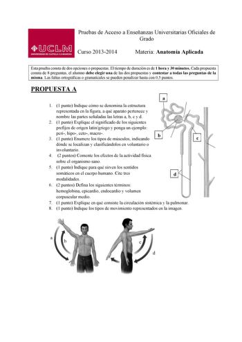 Pruebas de Acceso a Enseñanzas Universitarias Oficiales de Grado Curso 20132014 Materia Anatomía Aplicada Esta prueba consta de dos opciones o propuestas El tiempo de duración es de 1 hora y 30 minutos Cada propuesta consta de 8 preguntas el alumno debe elegir una de las dos propuestas y contestar a todas las preguntas de la misma Las faltas ortográficas o gramaticales se pueden penalizar hasta con 05 puntos PROPUESTA A a 1 1 punto Indique cómo se denomina la estructura representada en la figur…