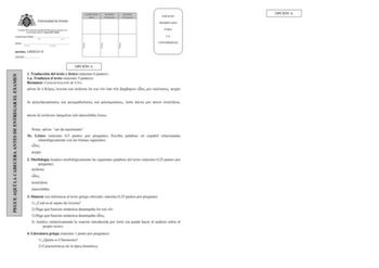 Examen de Griego (EBAU de 2018)