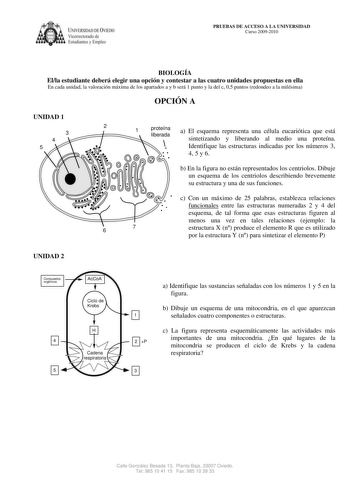 IVERSIDAD DE VI V1ccrrcctorado de EDO Estudiantes YEmpleo PRUEBAS DE ACCESO A LA UNIVERSIDAD Curso 20092010 BIOLOGÍA Ella estudiante deberá elegir una opción y contestar a las cuatro unidades propuestas en ella En cada unidad la valoración máxima de los apartados a y b será 1 punto y la del c 05 puntos redondeo a la milésima OPCIÓN A UNIDAD 1 3 4 5 2 1 proteína liberada a El esquema representa una célula eucariótica que está sintetizando y liberando al medio una proteína Identifique las estruct…