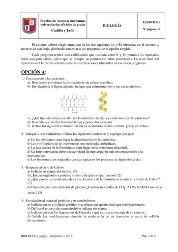 Pruebas de Acceso a enseñanzas universitarias oficiales de grado Castilla y León BIOLOGÍA EJERCICIO N páginas 2 El alumno deberá elegir entre una de las dos opciones A o B ofertadas en el anverso y reverso de esta hoja debiendo contestar a las preguntas de la opción elegida Cada pregunta tendrá una calificación que oscilará entre 0 y 10 puntos los apartados serán equipuntuables salvo que se indique su puntuación entre paréntesis La nota final del ejercicio será la media aritmética de las califi…