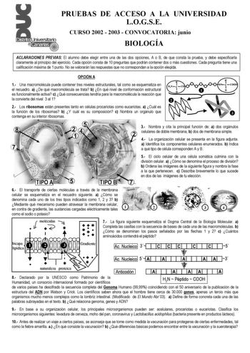 PRUEBAS DE ACCESO A LA UNIVERSIDAD LOGSE CURSO 2002  2003  CONVOCATORIA junio BIOLOGÍA ACLARACIONES PREVIAS El alumno debe elegir entre una de las dos opciones A o B de que consta la prueba y debe especificarla claramente al principio del ejercicio Cada opción consta de 10 preguntas que podrán contener dos o más cuestiones Cada pregunta tiene una calificación máxima de 1 punto No se valorarán las respuestas que no correspondan a la opción elegida OPCIÓN A R R 1 Una macromolécula puede contener …