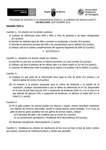 UN IVERS IDAD DE 1   MURCIA 1  Ih Región de Murcia Universidad Politécnica de Cartagena PRUEBAS DE ACCESO A LA UNIVERSIDAD PARA EL ALUMNADO DE BACHILLERATO 140 BIOLOGÍA SEPTIEMBRE 2015 EXAMEN TIPO A Cuestión 1 En relación con los ácidos nucleicos a Explique las diferencias entre ADN y ARN a nivel de pentosas y de bases nitrogenadas 04 puntos b Nombre los distintos tipos de ARN y comente su localización y función 06 puntos c Describa la estructura primaria del ADN y las características que la de…