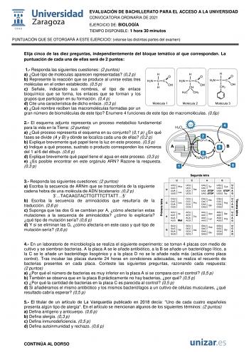 EVALUACIÓN DE BACHILLERATO PARA EL ACCESO A LA UNIVERSIDAD CONVOCATORIA ORDINARIA DE 2021 EJERCICIO DE BIOLOGÍA TIEMPO DISPONIBLE 1 hora 30 minutos PUNTUACIÓN QUE SE OTORGARÁ A ESTE EJERCICIO véanse las distintas partes del examen Elija cinco de las diez preguntas independientemente del bloque temático al que correspondan La puntuación de cada una de ellas será de 2 puntos 1 Responda las siguientes cuestiones 2 puntos a Qué tipo de moléculas aparecen representadas 02 p b Represente la reacción …