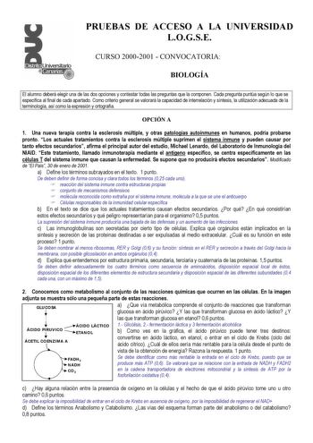 Distrito r   Canarias it t PRUEBAS DE ACCESO A LA UNIVERSIDAD LOGSE CURSO 20002001  CONVOCATORIA BIOLOGÍA El alumno deberá elegir una de las dos opciones y contestar todas las preguntas que la componen Cada pregunta puntúa según lo que se especifica al final de cada apartado Como criterio general se valorará la capacidad de interrelación y síntesis la utilización adecuada de la terminología así como la expresión y ortografía OPCIÓN A 1 Una nueva terapia contra la esclerosis múltiple y otras pat…