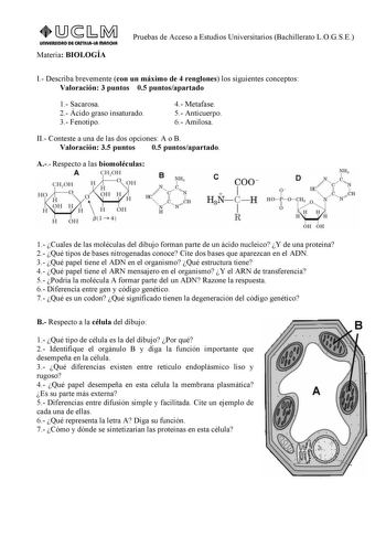 UnlVERSIDAD DE CASTlllAlA mAnCHA Materia BIOLOGÍA Pruebas de Acceso a Estudios Universitarios Bachillerato LOGSE I Describa brevemente con un máximo de 4 renglones los siguientes conceptos Valoración 3 puntos 05 puntosapartado 1 Sacarosa 2 Ácido graso insaturado 3 Fenotipo 4 Metafase 5 Anticuerpo 6 Amilosa II Conteste a una de las dos opciones A o B Valoración 35 puntos 05 puntosapartado A Respecto a las biomoléculas A  CH20H CH OH OH H OvO H H OH H OH 3l  4  e coo 1 HN C H 3 1 R 1 Cuales de la…