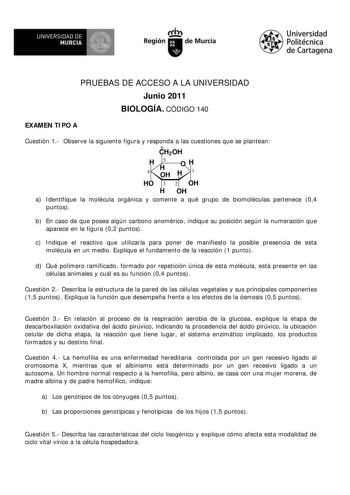 UNIVERSIDAD DE MURCIA   Ih Región de Murcia Universidad Politécnica de Cartagena PRUEBAS DE ACCESO A LA UNIVERSIDAD Junio 2011 BIOLOGÍA CÓDIGO 140 EXAMEN TIPO A Cuestión 1 Observe la siguiente figura y responda a las cuestiones que se plantean 6 CH2OH H 4 5 H OH OH H1 HO 3 2 OH H OH a Identifique la molécula orgánica y comente a qué grupo de biomoléculas pertenece 04 puntos b En caso de que posea algún carbono anomérico indique su posición según la numeración que aparece en la figura 02 puntos …