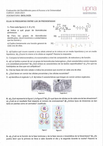 Evaluación del Bachil lerato para el Acceso a la Universidad CURSO 2020202 1 AS IGNATURA BIOLOGÍA upna Universidad Pública de Navotra Naforroako Uniberls118fe Puhlikoo ELIJA 10 PREGUNTAS ENTRE LAS 20 PRESENTADAS 1 Para cada figura 1 11  111 y IV I a Indica a qué grupo de biomoléculas pertenecen H1 Il     j  olOP Or01io 0 11 H b Para los grupos de biomoléculas identificados cita el monómero o unidad básica que los forman y lll HcH y1yI1IH y1Hy1H y1H y1Hy1Hc1H1cH y1H y1Hy1Hy1Hy1H y1H y1c HHHHHHH …