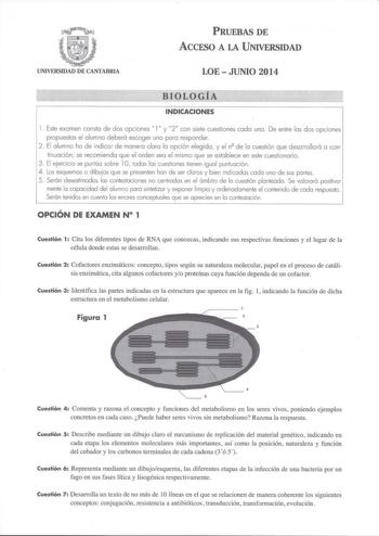 PRUEBAS DE ACCESO A LA UNIVERSIDAD UNIVERSIDAD DE CANTABRIA LOEJUNIO 2014 BIOLOGÍA INDICACIONES l Este examen consta de dos opciones l y 2 con siete cuestiones cada una  De entre las dos opciones propuestas el alumno deberá escoger una para responder 2 El alumno ha de indicar de manera clara la opción elegida y el n de la cuestión que desarrollará a continuación se recomienda que el orden sea el mismo que se establece en este cuestionario  3 El ejercicio se puntúo sobre 10 todos los cuestiones …