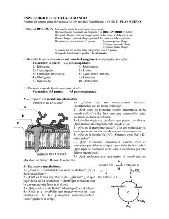 UNIVERSIDAD DE CASTILLALA MANCHA Pruebas de aptitud para el Acceso a la Universidad Bachillerato LOGSE PLAN NUEVO Materia BIOLOGÍA Esta prueba consta de tres bloques de preguntas El primer bloque consta de una pregunta y es OBLIGATORIO 3 puntos El segundo bloque consta de dos preguntas de las cuales se debe elegir una El tercer bloque consta de dos preguntas de las cuales se debe elegir una El examen se valorará sobre 10 puntos 3 puntos primer bloque 35 puntossegundo bloque 35 puntostercer bloq…