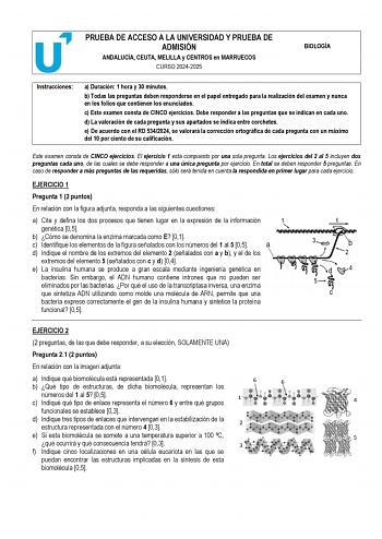 Examen de Biología (PEvAU de 2025)
