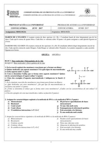 1GENERALITAT  VALENCIANA CONSILLERIADIDUCACIÓ INVESTIGACIO CULTURA I ESlCIT COMISSIÓ GESTORA DE LES PROVES DACCÉS A LA UNIVERSITAT COMISIÓN GESTORA DE LAS PRUEBAS DE ACCESO A LA UNIVERSIDAD e   11  SISTEJiL UNIVERSITARI VALElCIA SISTEIA t NIVlRS1rHIO VALllCIA10 PROVES DACCÉS A LA UNIVERSITAT CONVOCATRIA JUNY 2017 Assignatura BIOLOGIA PRUEBAS DE ACCESO A LA UNIVERSIDAD CONVOCATORIA JUNIO 2017 Asignatura BIOLOGÍA BAREM DE LEXAMEN Lexamen consta de dues opcions A i B i lestudiant haur de triar ínt…