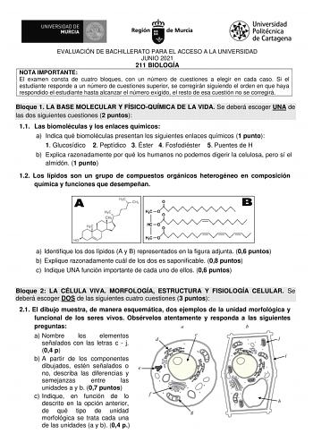 EVALUACIÓN DE BACHILLERATO PARA EL ACCESO A LA UNIVERSIDAD JUNIO 2021 211 BIOLOGÍA NOTA IMPORTANTE El examen consta de cuatro bloques con un número de cuestiones a elegir en cada caso Si el estudiante responde a un número de cuestiones superior se corregirán siguiendo el orden en que haya respondido el estudiante hasta alcanzar el número exigido el resto de esa cuestión no se corregirá Bloque 1 LA BASE MOLECULAR Y FÍSICOQUÍMICA DE LA VIDA Se deberá escoger UNA de las dos siguientes cuestiones 2…