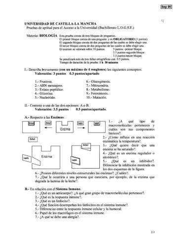 Sep OO l UNIVERSIDAD DE CASTILLALA MANCHA Pruebas de aptitud para el Acceso a la Universidad Bachillerato LOGSE Materia BIOLOGÍA Esta prueba consta de tres bloques de preguntas El primer bloque consta de una pregunta y es OBLIGATORIO 3 puntos El segundo bloque consta de dos preguntas de las cuales se debe elegir una El tercer bloque consta de dos preguntas de las cuales se debe elegir una El examen se valorará sobre 10 puntos 3 puntos primer bloque 35 puntossegundo bloque 3 5 puntostercer bloqu…