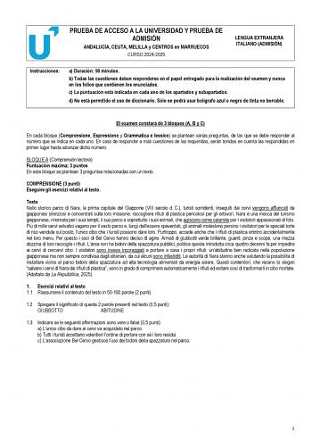 Examen de Italiano (PEvAU de 2025)