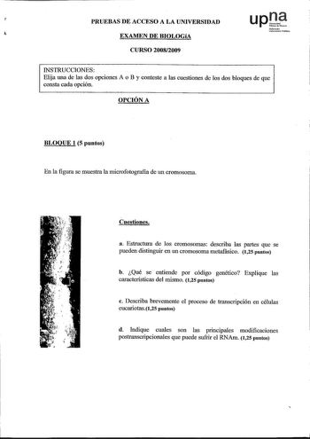 PRUEBAS DE ACCESO A LA UNIVERSIDAD up1  EXAMEN DE BIOLOGíA Nfonooko UnibliPblkoo CURSO 20082009 INSTRUCCIONES Elija una de las dos opciones A o B y conteste a las cuestiones de los dos bloques de que consta cada opción OPCIÓN A BLOQUE 1 5 puntos En la figura se muestra la microfotografia de un cromosoma Cuestiones a Estructura de los cromosomas describa las partes que se pueden distinguir en un cromosoma metafásico 125 puntos b Qué se entiende por código genético Explique las características de…