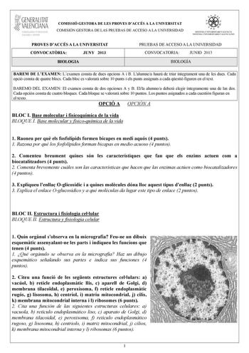 i GENERALITAT VALENCIANA CONSELLIRIA DEDUCACIÓ CULTURA 1 SPORT COMISSIÓ GESTORA DE LES PROVES DACCÉS A LA UNIVERSITAT COMISIÓN GESTORA DE LAS PRUEBAS DE ACCESO A LA UNIVERSIDAD itio    1111  S ISTEMA UNIVERSITARI VA LENCIA SISTEMA UNIVERSITARIO VALENC IANO PROVES DACCÉS A LA UNIVERSITAT CONVOCATRIA JUNY 2013 BIOLOGIA PRUEBAS DE ACCESO A LA UNIVERSIDAD CONVOCATORIA JUNIO 2013 BIOLOGÍA BAREM DE LEXAMEN Lexamen consta de dues opcions A i B Lalumnea haur de triar íntegrament una de les dues Cada op…