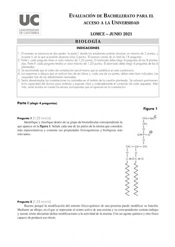 EVALUACIÓN DE BACHILLERATO PARA EL ACCESO A LA UNIVERSIDAD LOMCE  JUNIO 2021 BIOLOGÍA INDICACIONES 1 El examen se estructura en dos partes la parte I donde los estudiantes podrán alcanzar un máximo de 5 puntos y la parte II en la que se podrán alcanzar otros 5 puntos El examen consta de un total de 14 preguntas 2 Parte I cada pregunta tiene un valor máximo de 125 puntos El alumnado debe elegir 4 preguntas de las 8 planteadas Parte II cada pregunta tendrá un valor máximo de 125 puntos El alumnad…