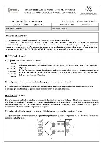 COMISSIÓ GESTORA DE LES PROVES DACCÉS A LA UNIVERSITAT COMISIÓN GESTORA DE LAS PRUEBAS DE ACCESO A LA UNIVERSIDAD PROVES DACCÉS A LA UNIVERSITAT CONVOCATRIA JUNY 2023 Assignatura Biologia PRUEBAS DE ACCESO A LA UNIVERSIDAD CONVOCATORIA JUNIO 2023 Asignatura Biología BAREM DE LEXAMEN 1 Lexamen consta de vuit preguntes i cada pregunta conté diverses qestions 2 Lalumnat ha de respondre NOMÉS a QUATRE PREGUNTES COMPLETES amb les qestions corresponents  que ha de triar entre les vuit proposades en l…