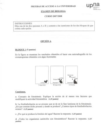 PRUEEBBAASS DE ACCEESSOO A LA UNIVERRSSIIDDAADD uPJdO blkod N  1NUNJ1a1obibbreorro1oat1kkt3ooto PMublliiko EXAMEENN DE BIOLLOOGGíAíA CURSSOO 20072008 INSTRUCCIONNEESS EElliijjaa uunnaa ddee llaass ddooss ooppcciioonneess AA oo BB yy ccoonntteessttee aa llaass ccuueessttiioonneess ddee llooss ddooss bbllooqquueess ddee qquuee ccoonnssttaa ccaaddaa ooppcciióónn OPCCIIÓÓNN A BLOQUUEE 11 5 punttooss EEnn llaa ffiigguurraa ssee mmuueessttrraann llooss rreessuullttaaddooss oobbtteenniiddooss aall hha…