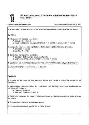 u EX Prueba de Acceso a la Universidad de Extremadura Curso 201314 Asígnatura ANATOMÍA APLICADA Tiempo máximo de la prueba 1h 30 min El alumno elegirá una de las dos opciones Cada pregunta tendrá un valor máximo de dos puntos Opción A 1 Fibra muscular estriada esquelética A Estructura 1 punto B Haga un esquema e indique el nombre de la unidad de contracción 1 punto 2 Indique las funciones más significativas de las siguientes biomoléculas orgánicas A Glúcidos 1 punto B Lípidos 1 punto 3 Conteste…