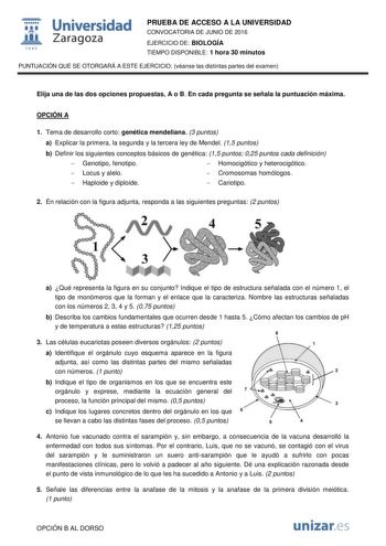  Universidad fil Zaragoza 1S42 PRUEBA DE ACCESO A LA UNIVERSIDAD CONVOCATORIA DE JUNIO DE 2016 EJERCICIO DE BIOLOGÍA TIEMPO DISPONIBLE 1 hora 30 minutos PUNTUACIÓN QUE SE OTORGARÁ A ESTE EJERCICIO véanse las distintas partes del examen Elija una de las dos opciones propuestas A o B En cada pregunta se señala la puntuación máxima OPCIÓN A 1 Tema de desarrollo corto genética mendeliana 3 puntos a Explicar la primera la segunda y la tercera ley de Mendel 15 puntos b Definir los siguientes concepto…