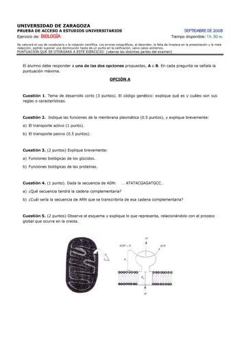 UNIVERSIDAD DE ZARAGOZA PRUEBA DE ACCESO A ESTUDIOS UNIVERSITARIOS Ejercicio de BIOLOGÍA SEPTIEMBRE DE 2008 Tiempo disponible 1 h 30 m Se valorará el uso de vocabulario y la notación científica Los errores ortográficos el desorden la falta de limpieza en la presentación y la mala redacción podrán suponer una disminución hasta de un punto en la calificación salvo casos extremos PUNTUACIÓN QUE SE OTORGARÁ A ESTE EJERCICIO véanse las distintas partes del examen El alumno debe responder a una de la…