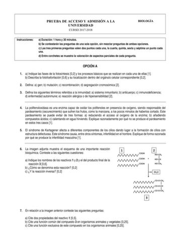 PRUEBA DE ACCESO Y ADMISIÓN A LA UNIVERSIDAD CURSO 20172018 BIOLOGÍA Instrucciones a Duración 1 hora y 30 minutos b Se contestarán las preguntas de una sola opción sin mezclar preguntas de ambas opciones c Las tres primeras preguntas valen dos puntos cada una la cuarta quinta sexta y séptima un punto cada una d Entre corchetes se muestra la valoración de aspectos parciales de cada pregunta OPCIÓN A 1 a Indique las fases de la fotosíntesis 02 y los procesos básicos que se realizan en cada una de…