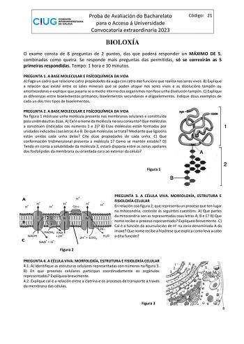 Proba de Avaliación do Bacharelato para o Acceso á Universidade Convocatoria extraordinaria 2023 Código 21 BIOLOXÍA O exame consta de 8 preguntas de 2 puntos das que poderá responder un MÁXIMO DE 5 combinadas como queira Se responde mais preguntas das permitidas só se correxirán as 5 primeiras respondidas Tempo 1 hora e 30 minutos PREGUNTA 1 A BASE MOLECULAR E FISÍCOQUÍMICA DA VIDA A Faga un cadro que relacione catro propiedades da auga con catro das funcións que realiza nos seres vivos B Expli…