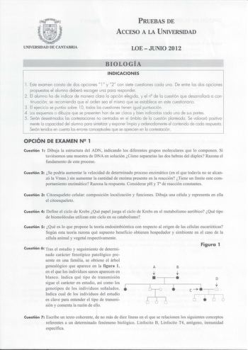 PRUEBAS DE ACCESO A LA UNIVERSIDAD UNIVERSIDAD DE CANTABRIA LOE  JUNIO 2012 BIOLOGÍA INDICACIONES l  Este examen consta de dos opciones  l  y 2 con siete cuestiones codo uno De entre los dos opciones propuestos el alumno deberá escoger una poro responder 2 El a lumno ha de indicar de manera clara lo opción elegida y el n de la cuestión que desarrollará a con tinuación se recomienda que el orden seo el mismo que se establece en este cuestionario 3 El ejercicio se puntúa sobre l O todas las cuest…