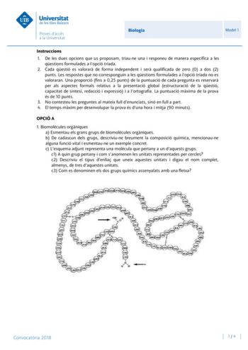 Biologia Model 1 Instruccions 1 De les dues opcions que us proposam triaune una i responeu de manera específica a les qestions formulades a lopció triada 2 Cada qestió es valorar de forma independent i ser qualificada de zero 0 a dos 2 punts Les respostes que no corresponguin a les qestions formulades a lopció triada no es valoraran Una proporció fins a 025 punts de la puntuació de cada pregunta es reservar per als aspectes formals relatius a la presentació global estructuració de la qestió cap…