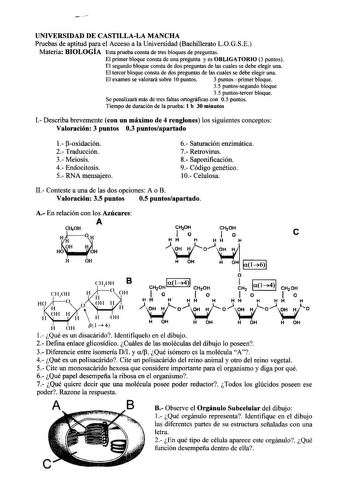 UNIVERSIDAD DE CASTILLALA MANCHA Pruebas de aptitud para el Acceso a la Universidad Bachillerato LOGSE Materia BIOLOGÍA Esta prueba consta de tres bloques de preguntas El primer bloque consta de una pregunta y es OBLIGATORIO 3 puntos El segundo bloque consta de dos preguntas de las cuales se debe elegir una El tercer bloque consta de dos preguntas de las cuales se debe elegir una El examen se valorará sobre 1Opuntos 3 puntos primer bloque 35 puntossegundo bloque 35 puntostercer bloque Se penali…