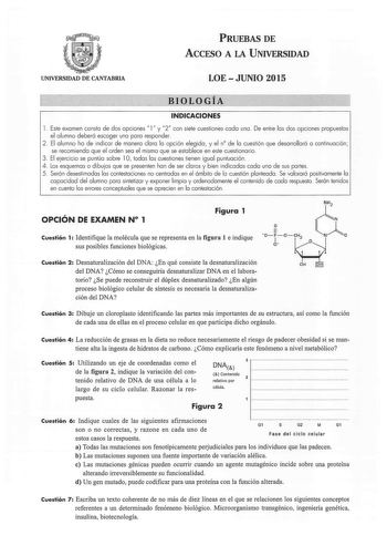 PRUEBAS DE ACCESO A LA UNIVERSIDAD UNIVERSIDAD DE CANTABRIA LOEJUNIO 2015 BIOLOGÍA INDICACIONES l  Este examen consta de dos opciones l y 2 con siete cuestiones cada una  De entre las dos opciones propuestas el alumno deberá escoger una para responder 2  El alumno ha de indicar de manera clara la opción elegida y el n de la cuestión que desarrollará a continuación se recomienda que el orden sea el mismo que se establece en este cuestionario  3 El ejercicio se puntúa sobre l O todas las cuestion…